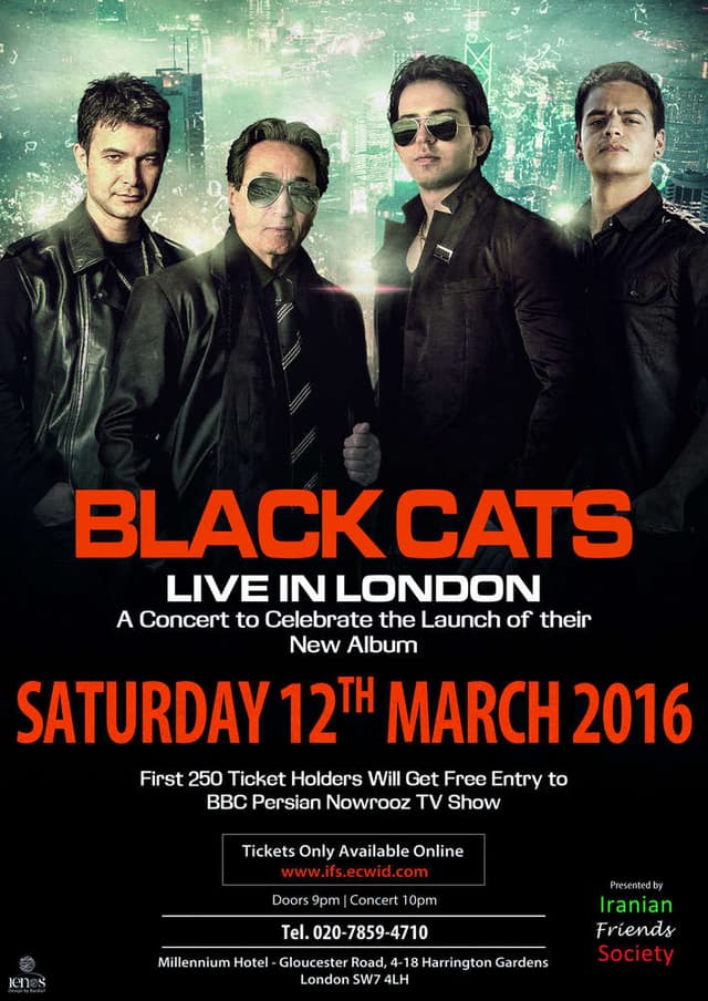 Black Cats Live in London