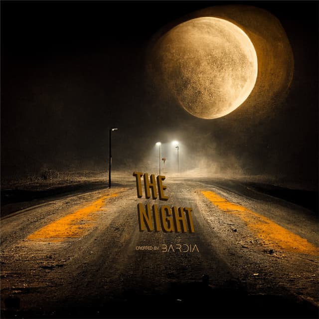 The Night · Bardia Tahvildar