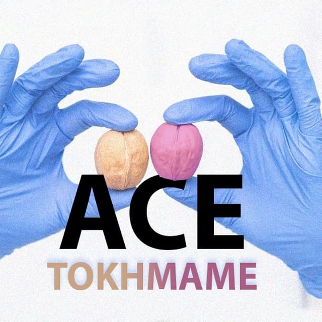 Tokhmame · ACE