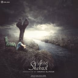 Shekast · Adel