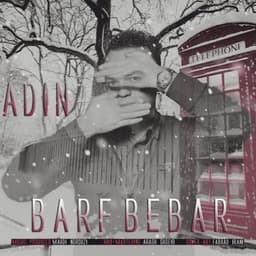 Barf Bebar · Adin