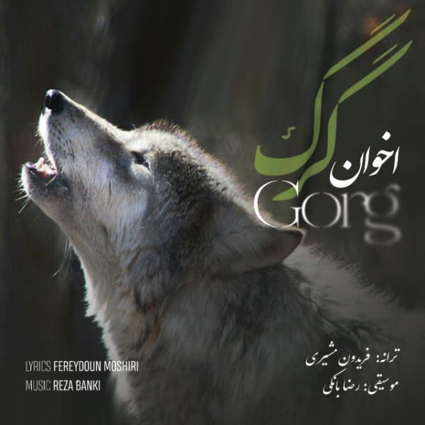 Gorg · Akhavan