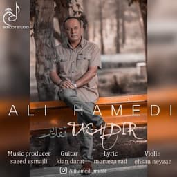 Taghdir · Ali Hamedi
