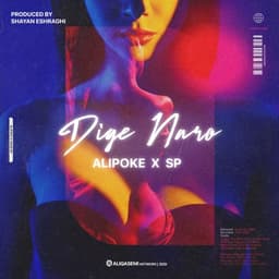 Dige Naro · Ali Pooke & Vahid Sp
