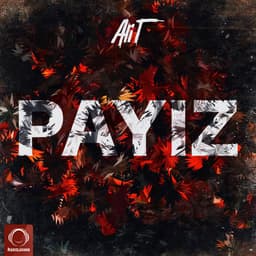 Payiz · Ali T