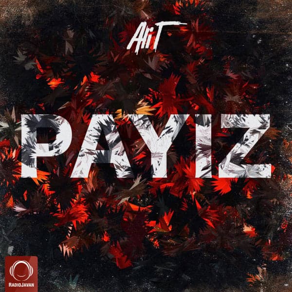 Payiz · Ali T