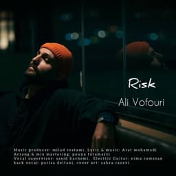 Risk · Ali Vofouri