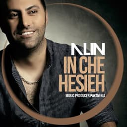 In Che Hesieh · Alin