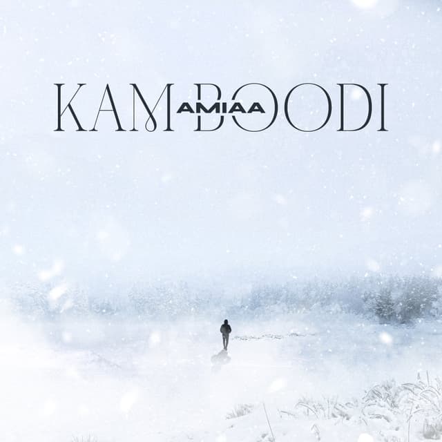 Kam Boodi · Amiaa