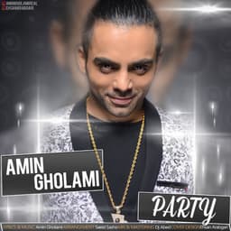 Party · Amin Gholami