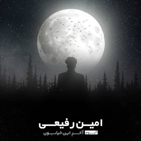 Tehran · Amin Rafiee