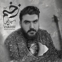 Zakhm · Amin Rafiee