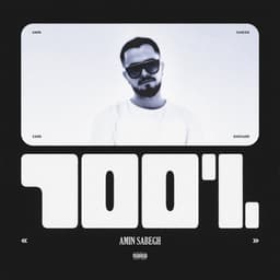 100% · Amin Sabegh
