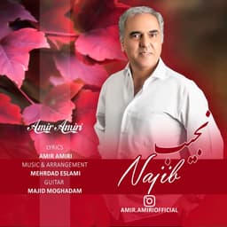 Najib · Amir Amiri