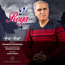 Roya · Amir Amiri
