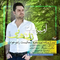 Tanhaie · Amir Bayat