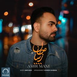 Ziba Jan · Amir Mani