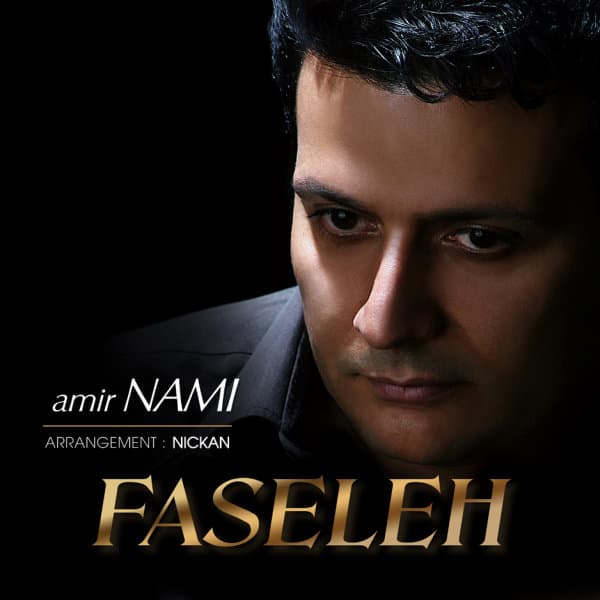 Faseleh · Amir Nami