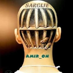 Sargije · Amir On