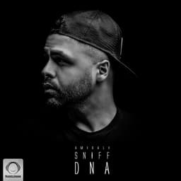 Go (Ft Parnian) · AmirAli Sniff