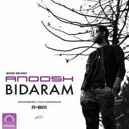Bidaram · Anoosh