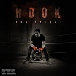 Hook · Ara Salahi