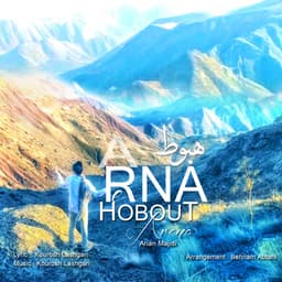 Hobout · Arena