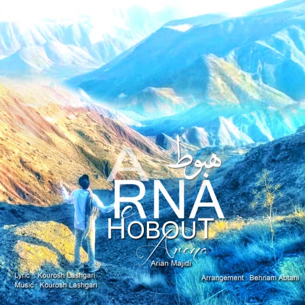 Hobout · Arena