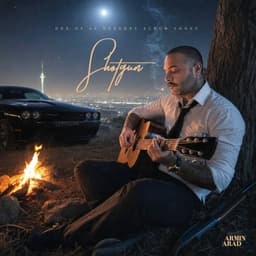 Shotgun · Armin Arad