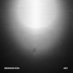 Bidaram Kon · Ary