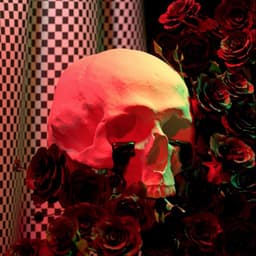 Coole Pas · Ashh Nm