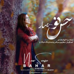 Hesse No · Bahar