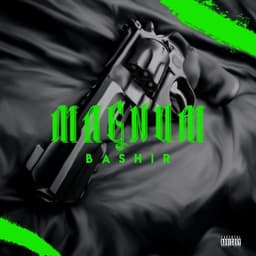 Magnum · Bashir