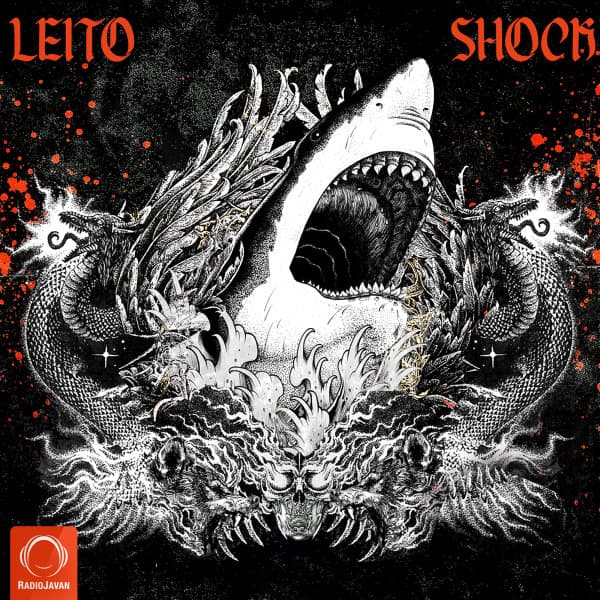 Shock · Behzad Leito