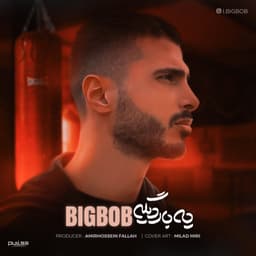 Ye Bare Dg · Big Bob