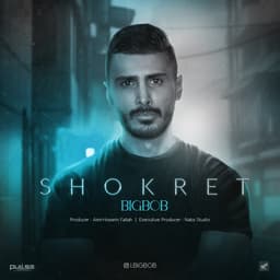 Shokret · BigBob