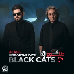 Avaaz · Black Cats