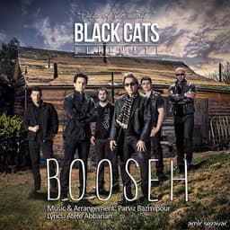 Booseh · Black Cats