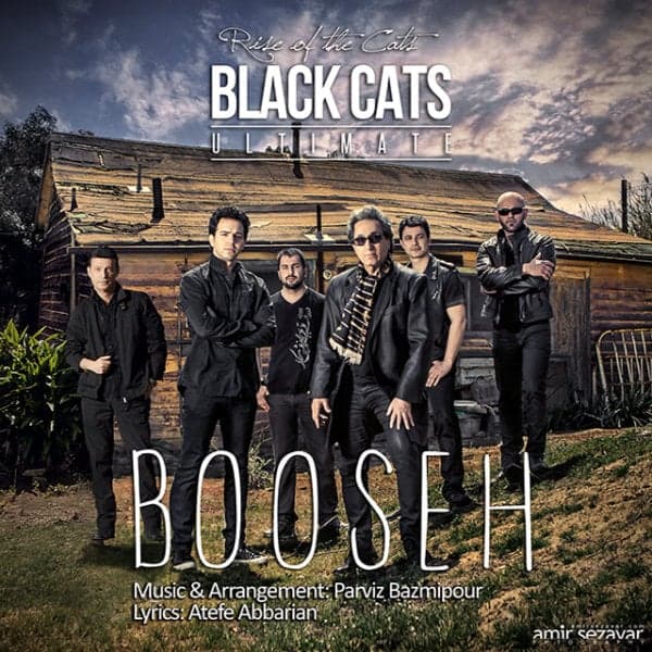 Booseh · Black Cats