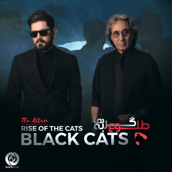 Medley · Black Cats