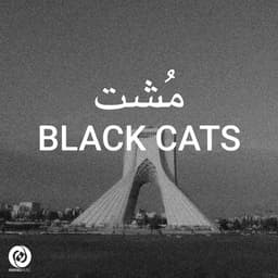 Mosht · Black Cats