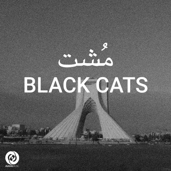 Mosht · Black Cats