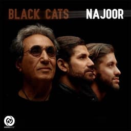 Najoor · Black Cats