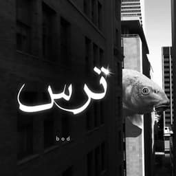 Tars · Bod