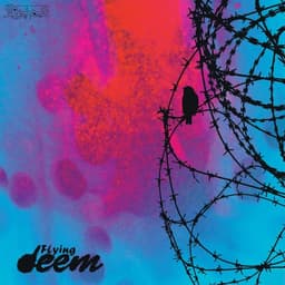Yadbood · Deem