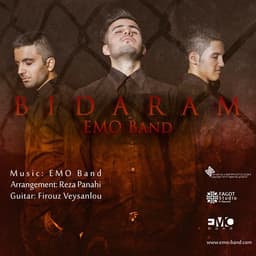 Bidaram · EMO Band