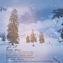 Tooleye Dey · Emran