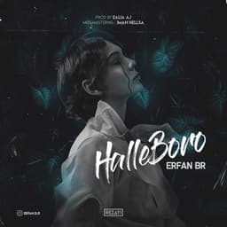 Halle Boro · Erfan BR