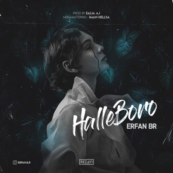 Halle Boro · Erfan BR
