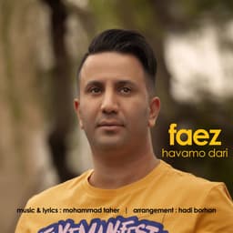 Havamo Dari · Faez
